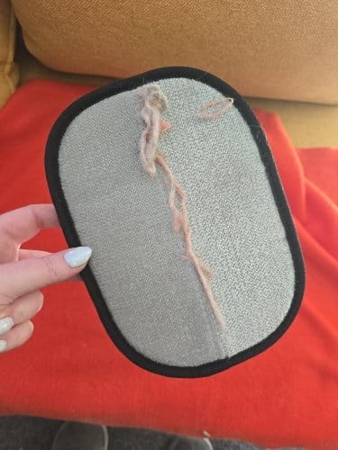 Customer photo review of Gant Anti-Poils Aquelie™ — Un intérieur propre et sans poils en quelques secondes