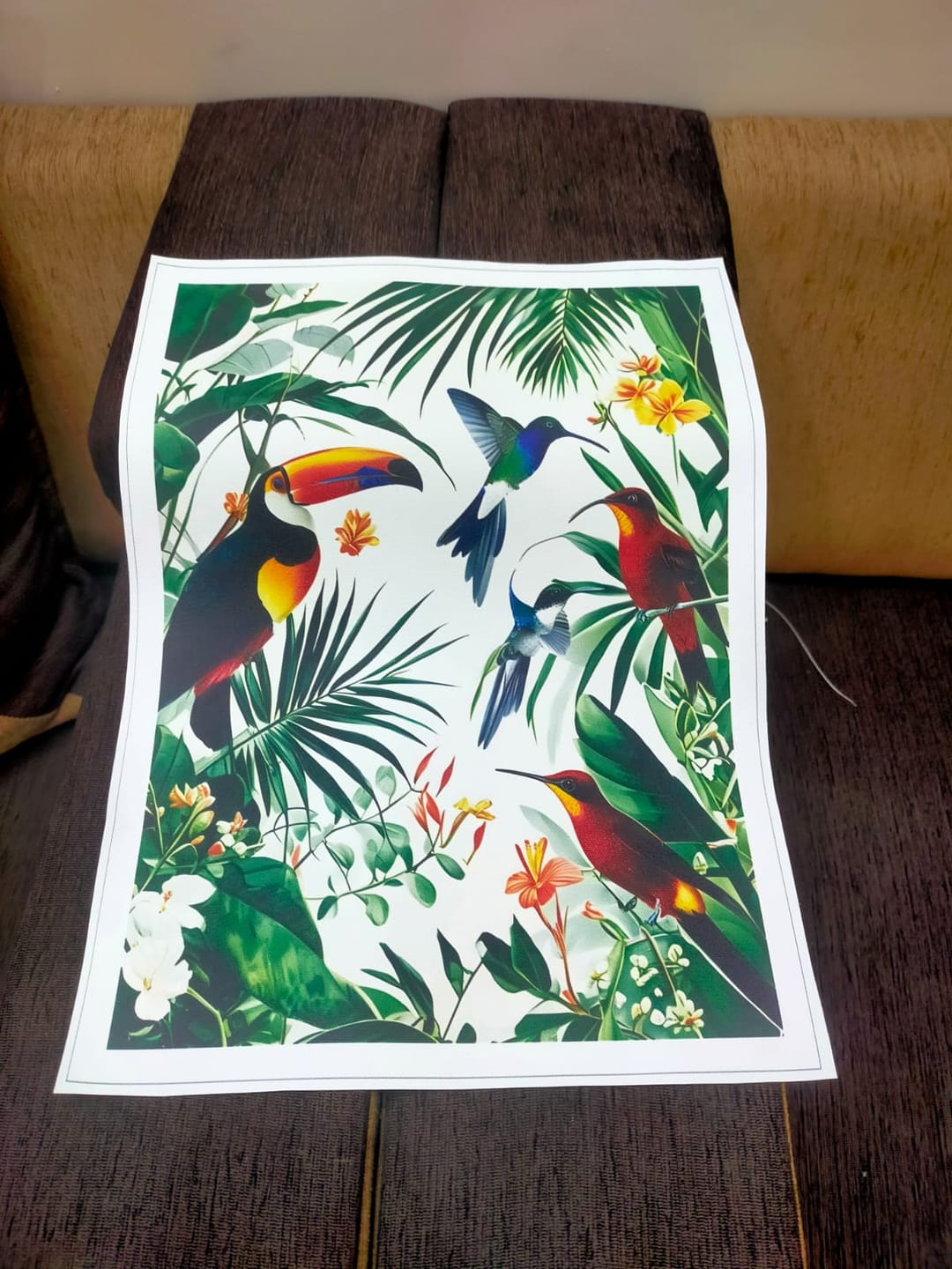 Customer photo review of Exotic Aviary