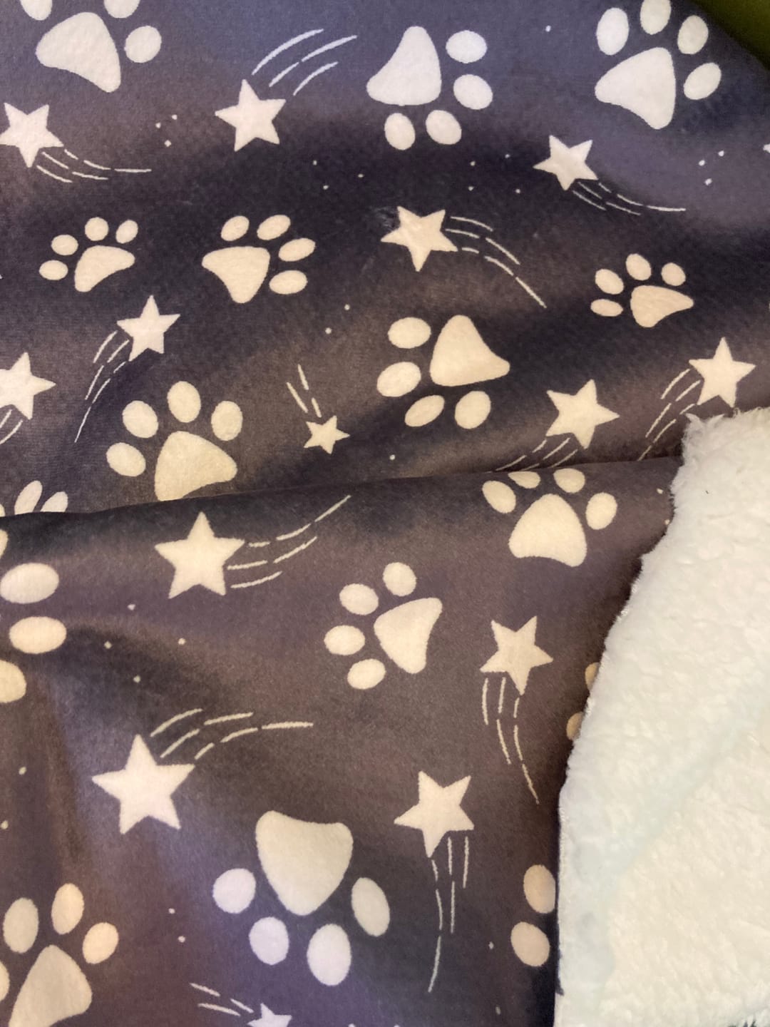 Customer photo review of Paw and Star Sherpa Fur Backed Fleece Fabric
