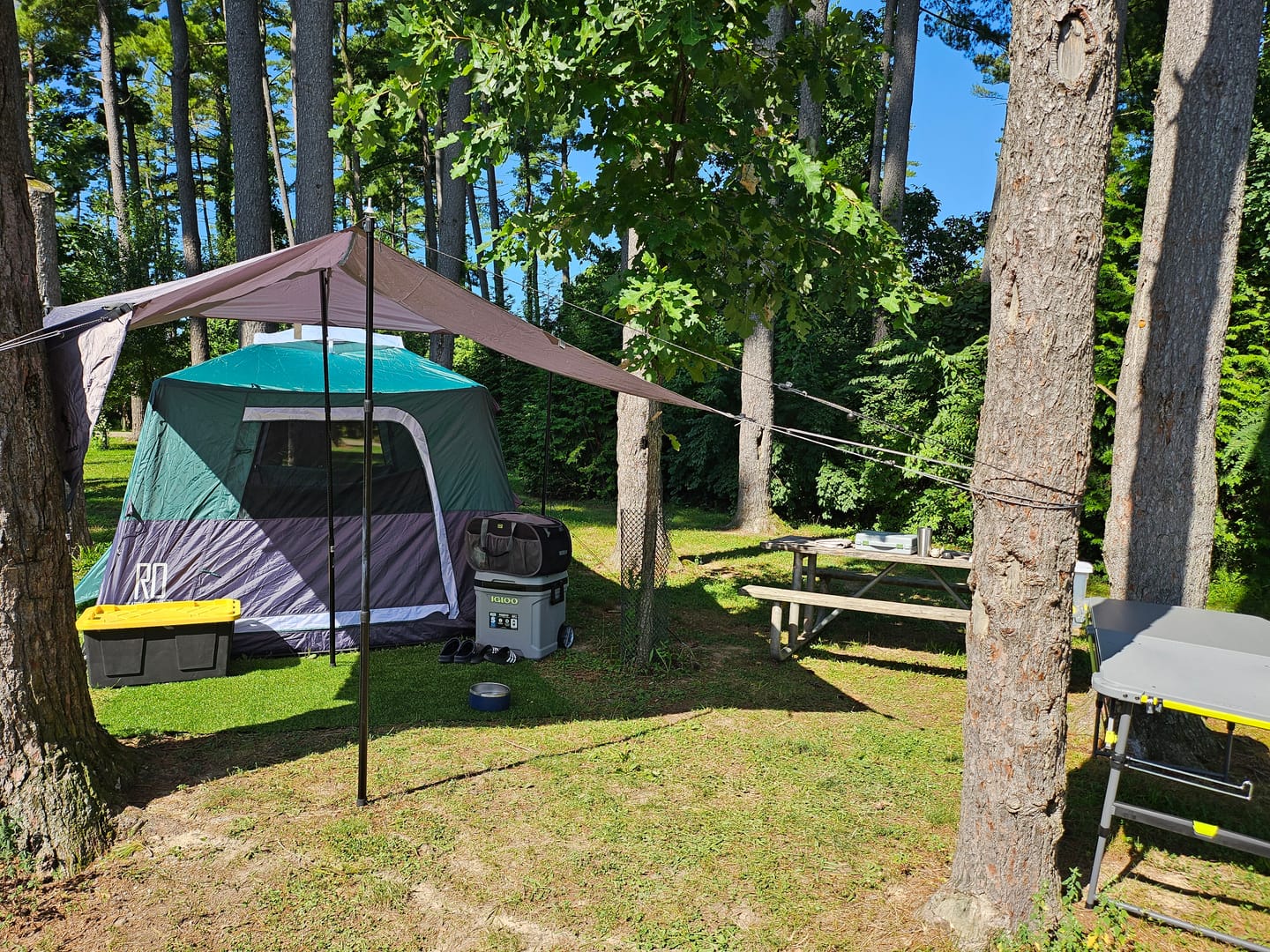 Customer photo review of 2-Step Cabin Tent