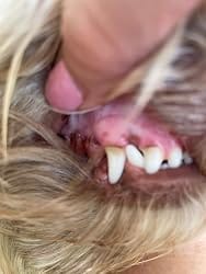 Customer photo review of MimPaw™ Dental Wipes