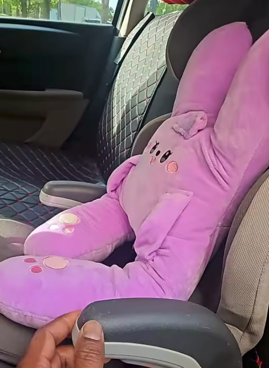 Customer photo review of CuddleRest — Kids Travel Cuddle Buddy