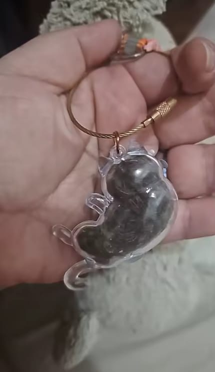Customer photo review of Llavero GuardaPelito