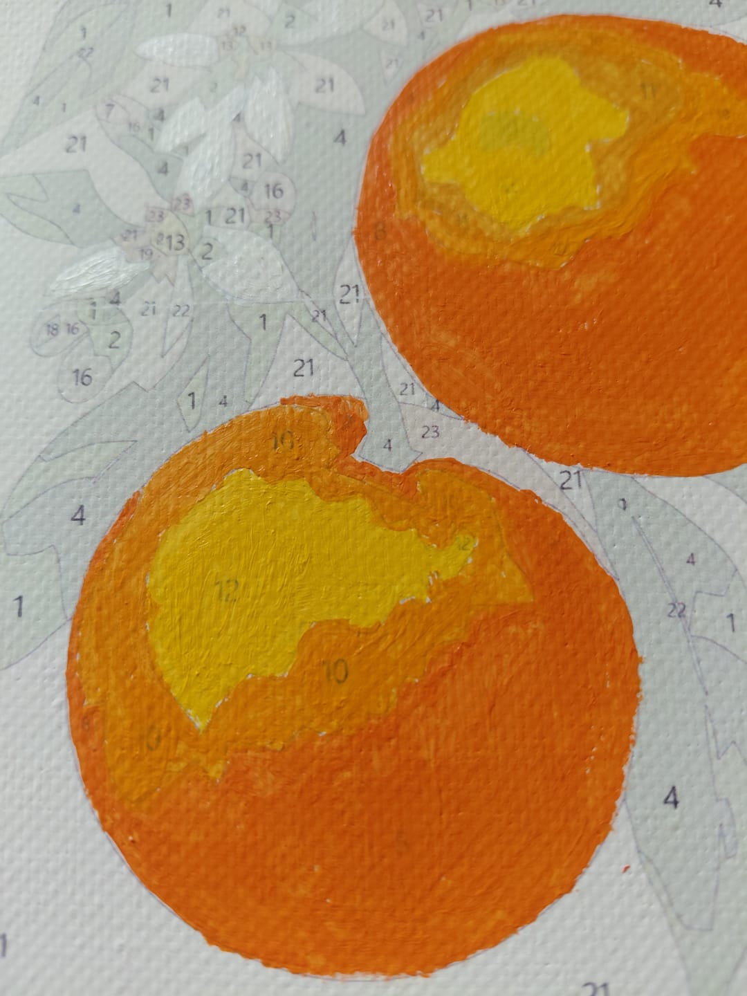 Customer photo review of Expressive Frida | Paint by Number