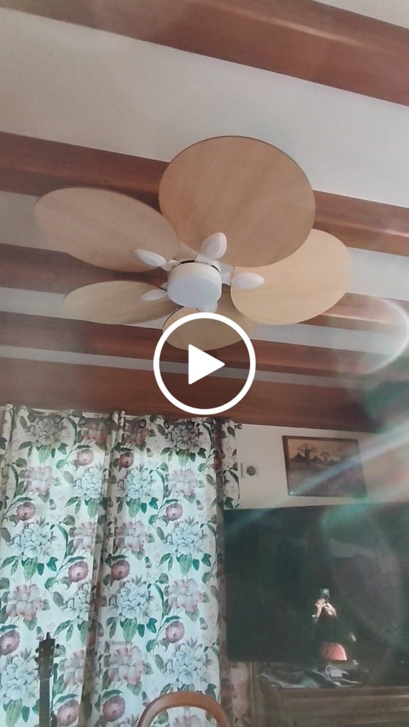 Customer video review of Lotus teinté Chêne | Ventilateur de plafond