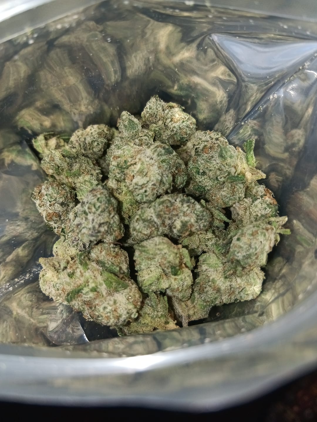 Customer photo review of Biscotti THCA Flower (Budget)