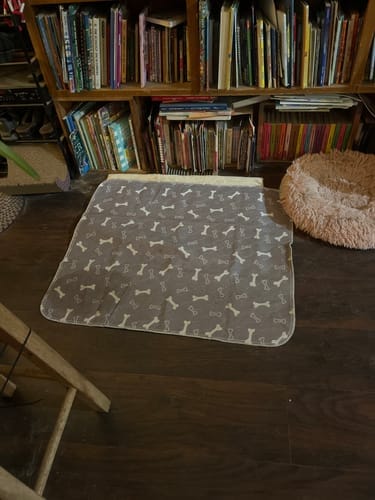 Tapete SniffPad gris en el piso, frente a un librero y una cama de perro