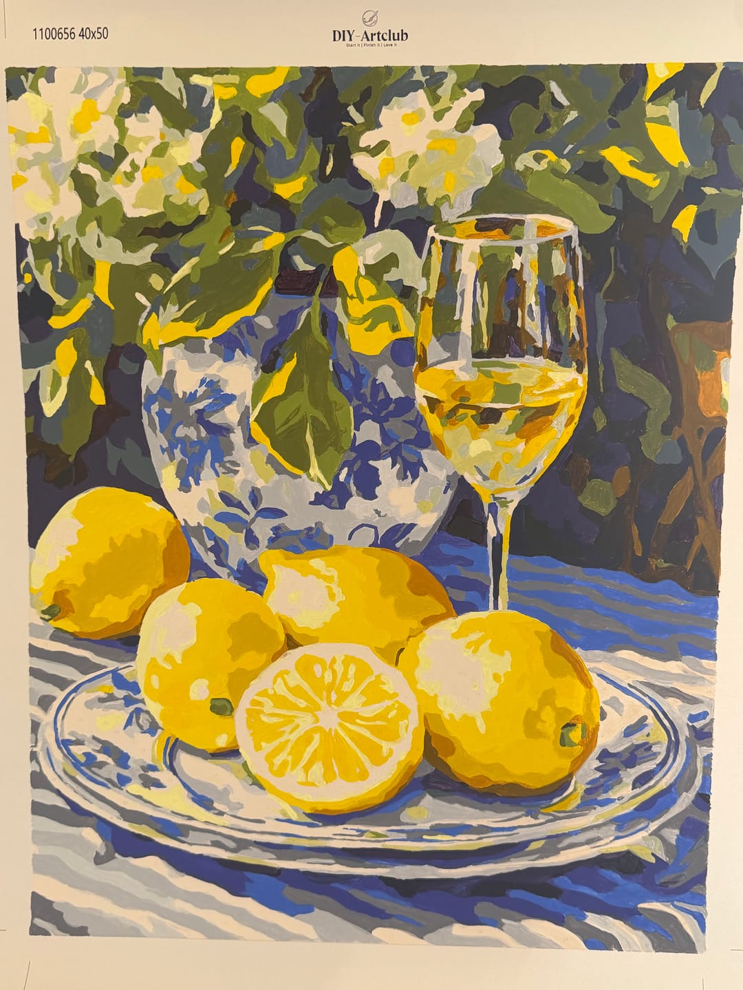 Customer photo review of Lemons and Wine | Paint by Numbers