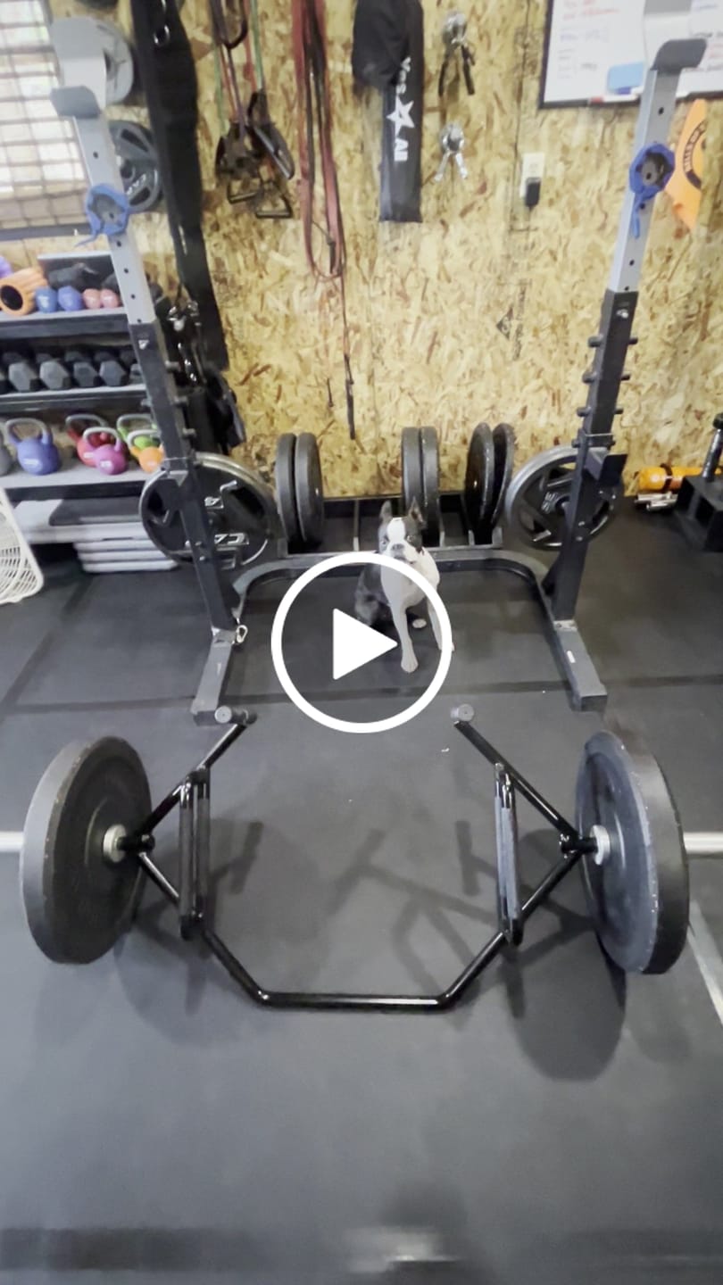 Customer video review of 🌟NEW PRODUCT🌟 Hyper-Thin 45lb Pairs