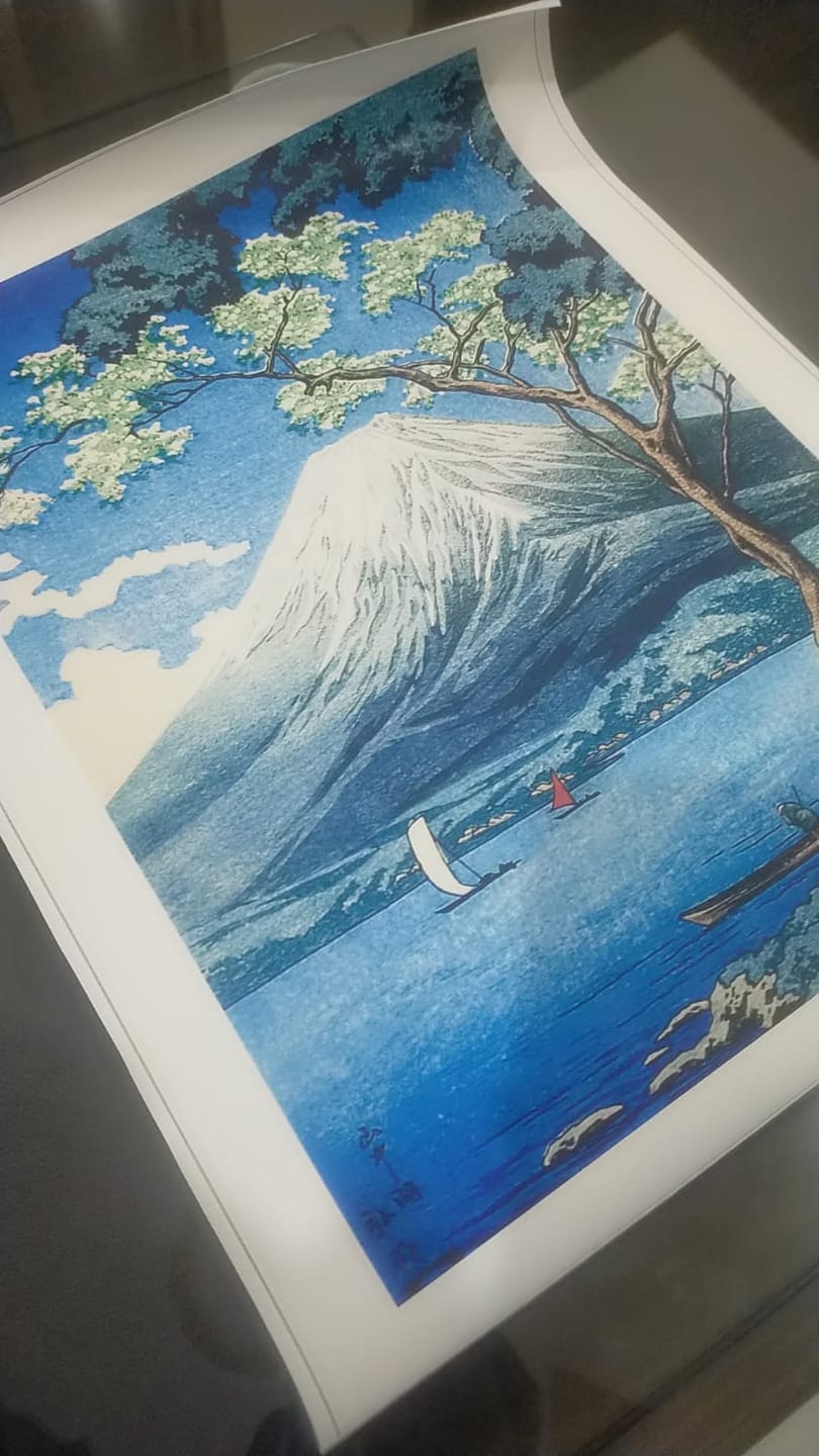 Customer photo review of Mt. Fuji Serenity