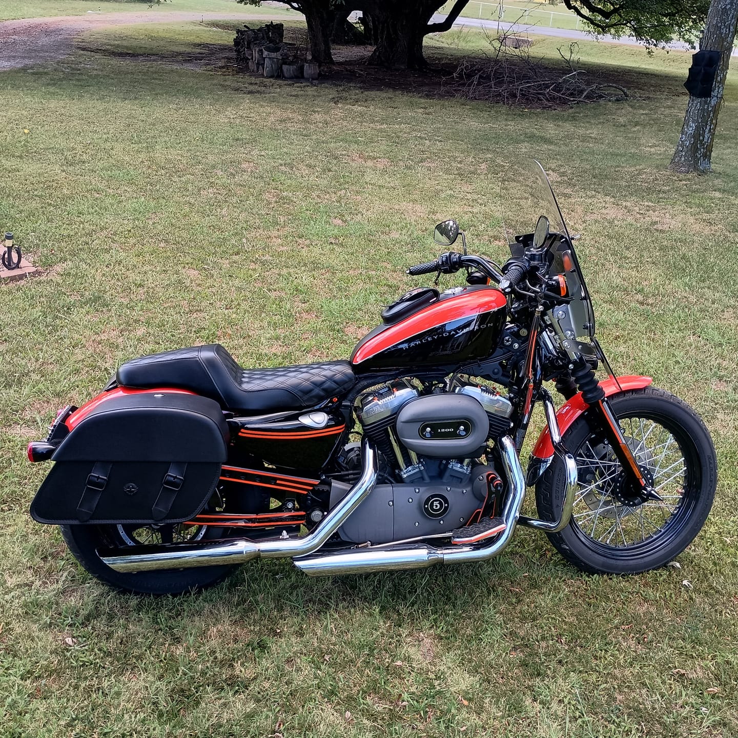Customer photo review of Iron Born Diamond Stitch 2-Up Seat For Harley Sportster 1200 Nightster XL1200N Black