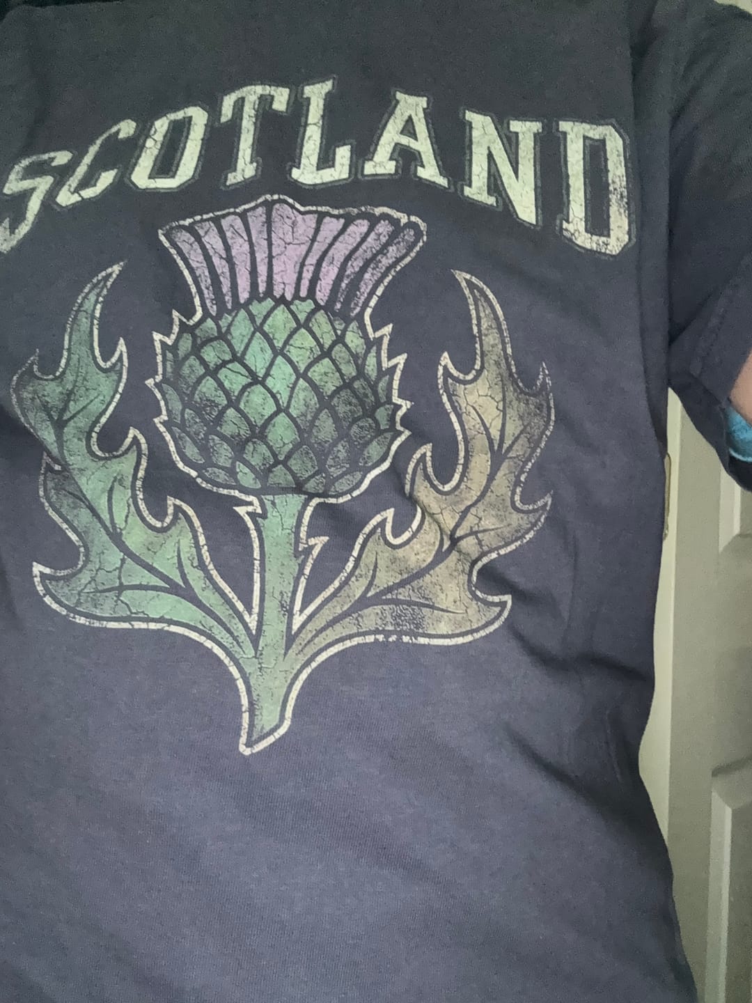 Customer photo review of Scotland Distressed Thistle T-Shirt