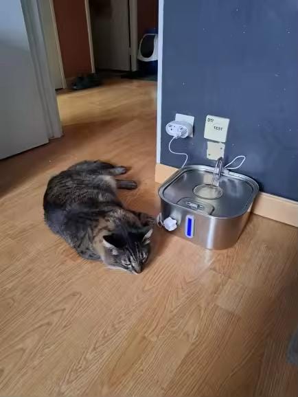Customer photo review of Purecat Bron UV 4 L