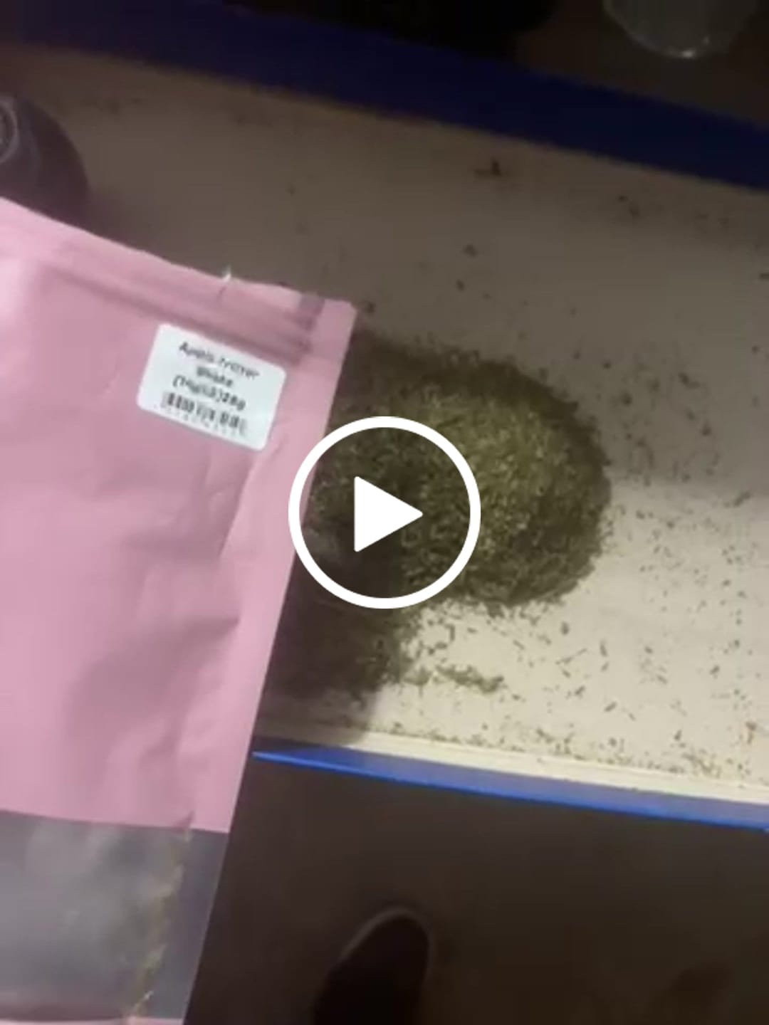 Customer video review of (BOGO)1oz Apple Fritter Infused Shake - Garden I