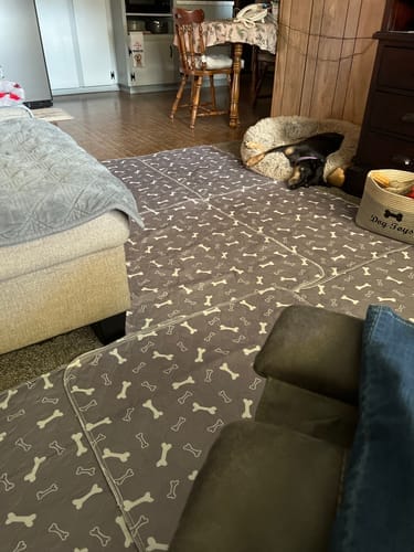 Varios tapetes SniffPad cubriendo el piso de la sala, con un perro acostado en su cama