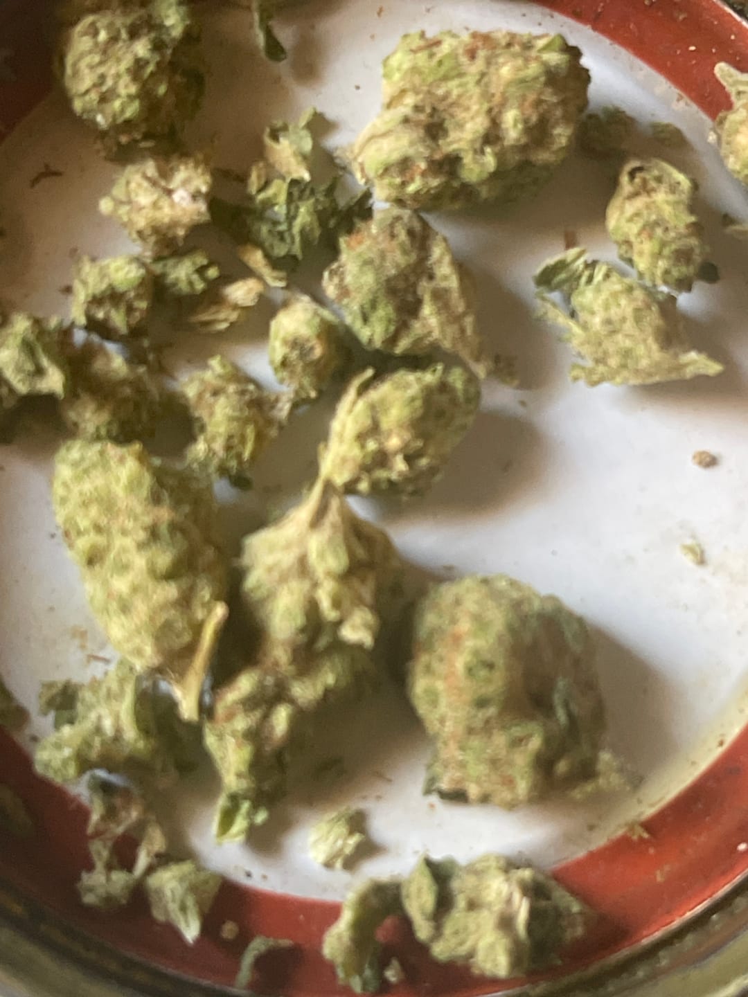 Customer photo review of Papaya Punch (Indoor Smalls) - THCA Flower