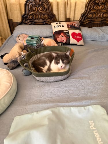 Customer's gray and white cat resting inside the green rope Instinct Basket on a bed surrounded by plush toys.