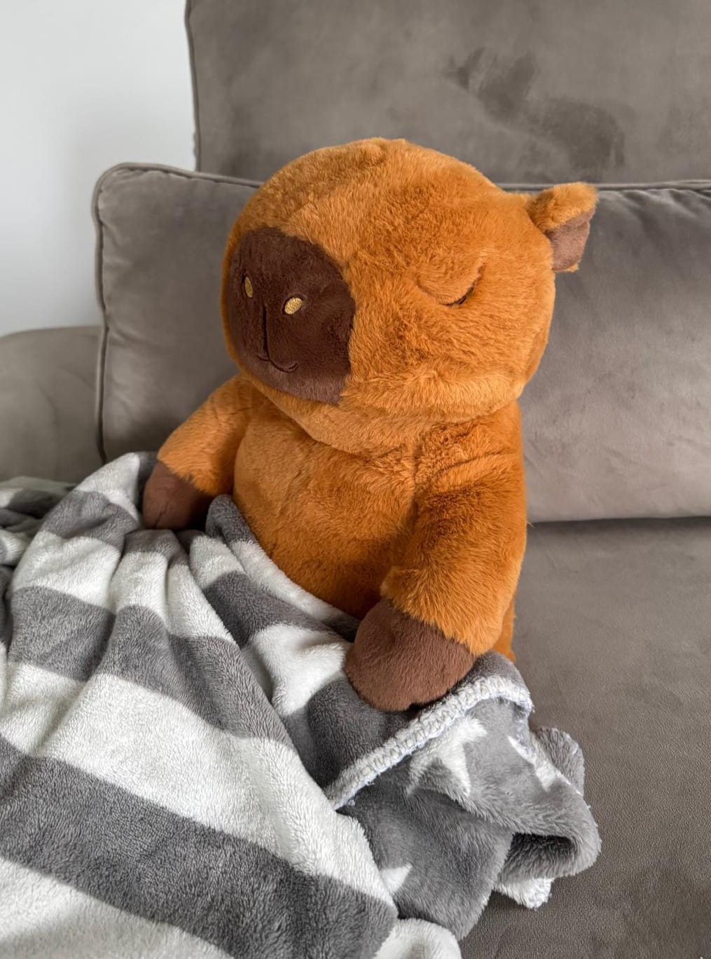 Customer photo review of Huggle Buddy Capybara Verzwaringsknuffel (2kg)