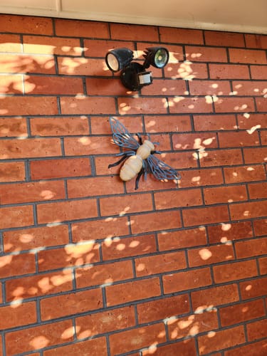 Customer's Barry French Provincial Bee wall decor mounted on a red brick wall, backlit by sun-dappled shadows.