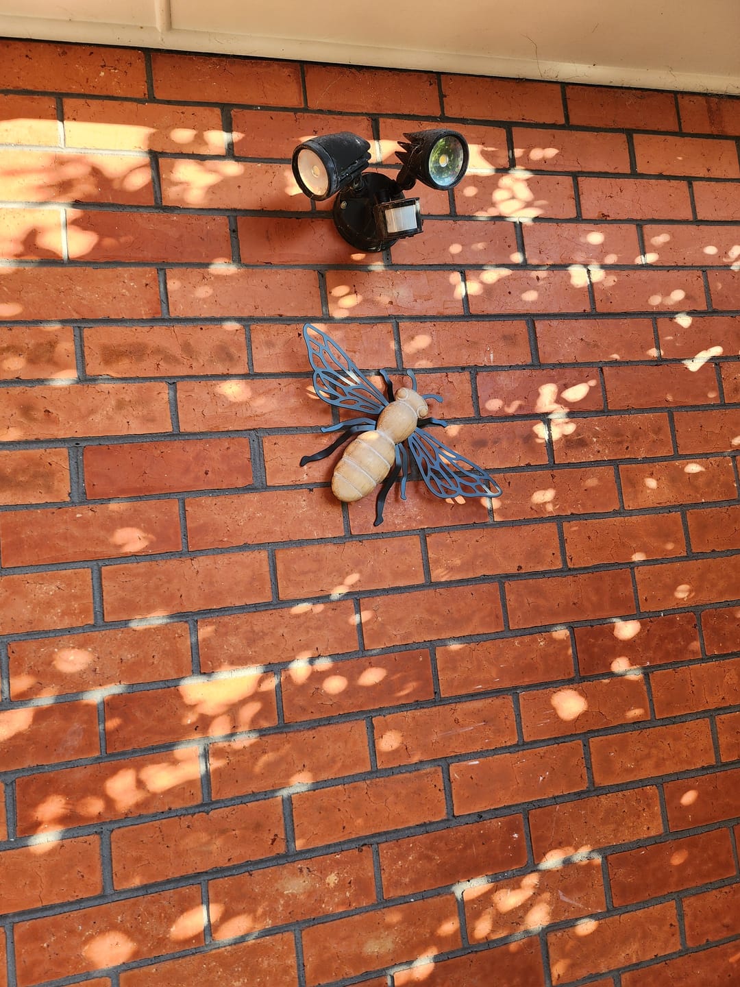 Customer photo review of Barry French Provincial Bee Wall Decor, Matte Black Iron Wings with Distressed Wood Body