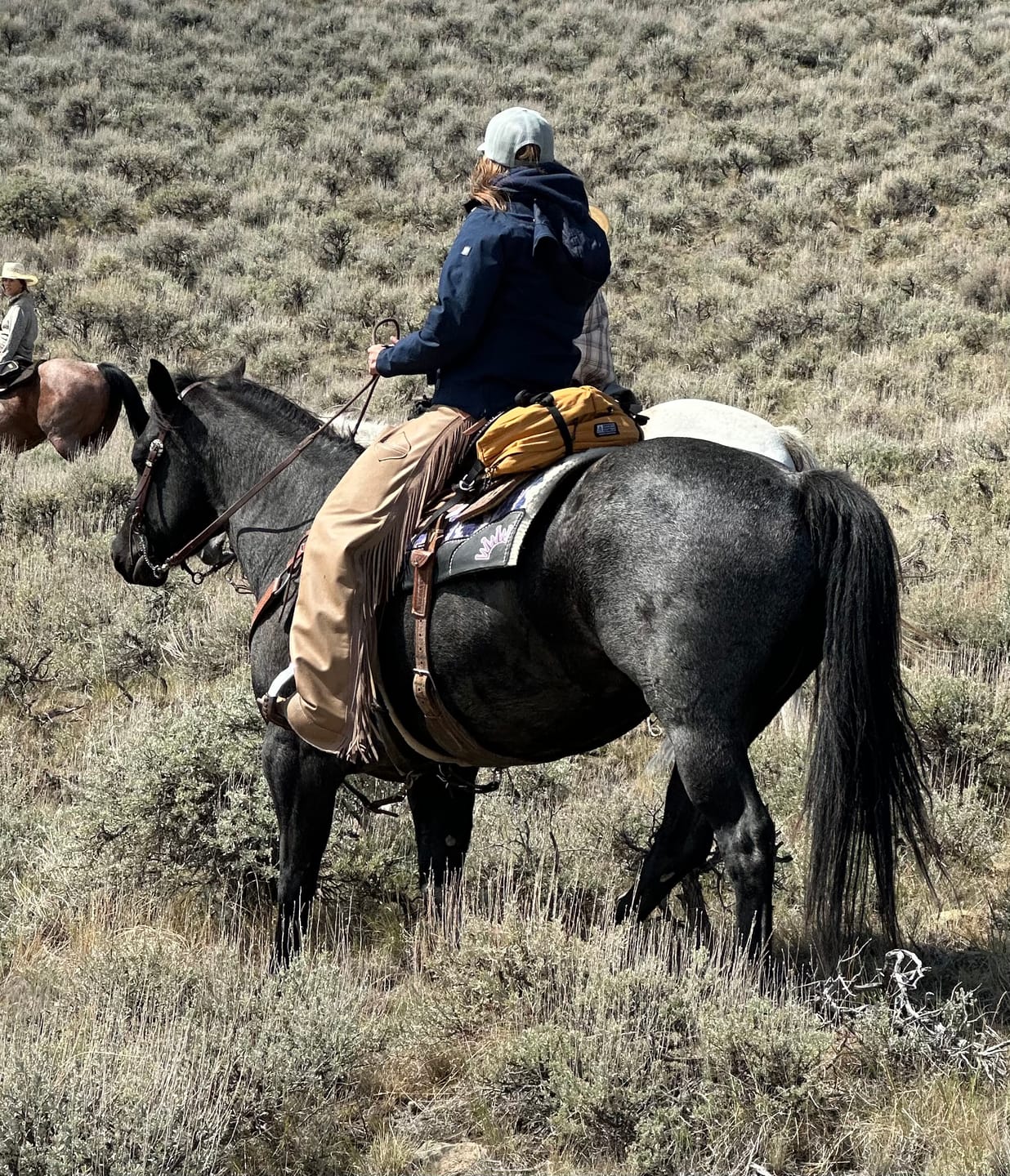 Customer photo review of Brumby Cantle Bag
