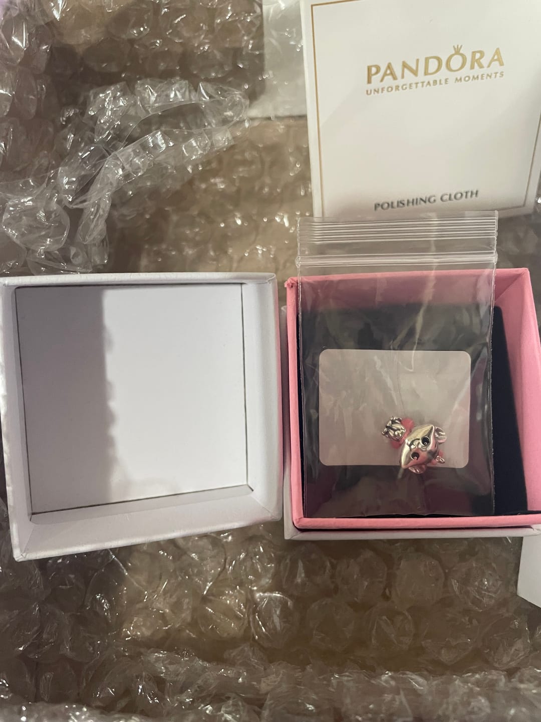 Customer photo review of CHARM PANDORA MARIE ARISTOGATOS DISNEY PLATA 925