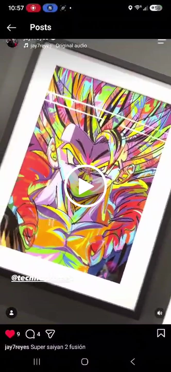 Customer video review of Goku Hari Wall Art