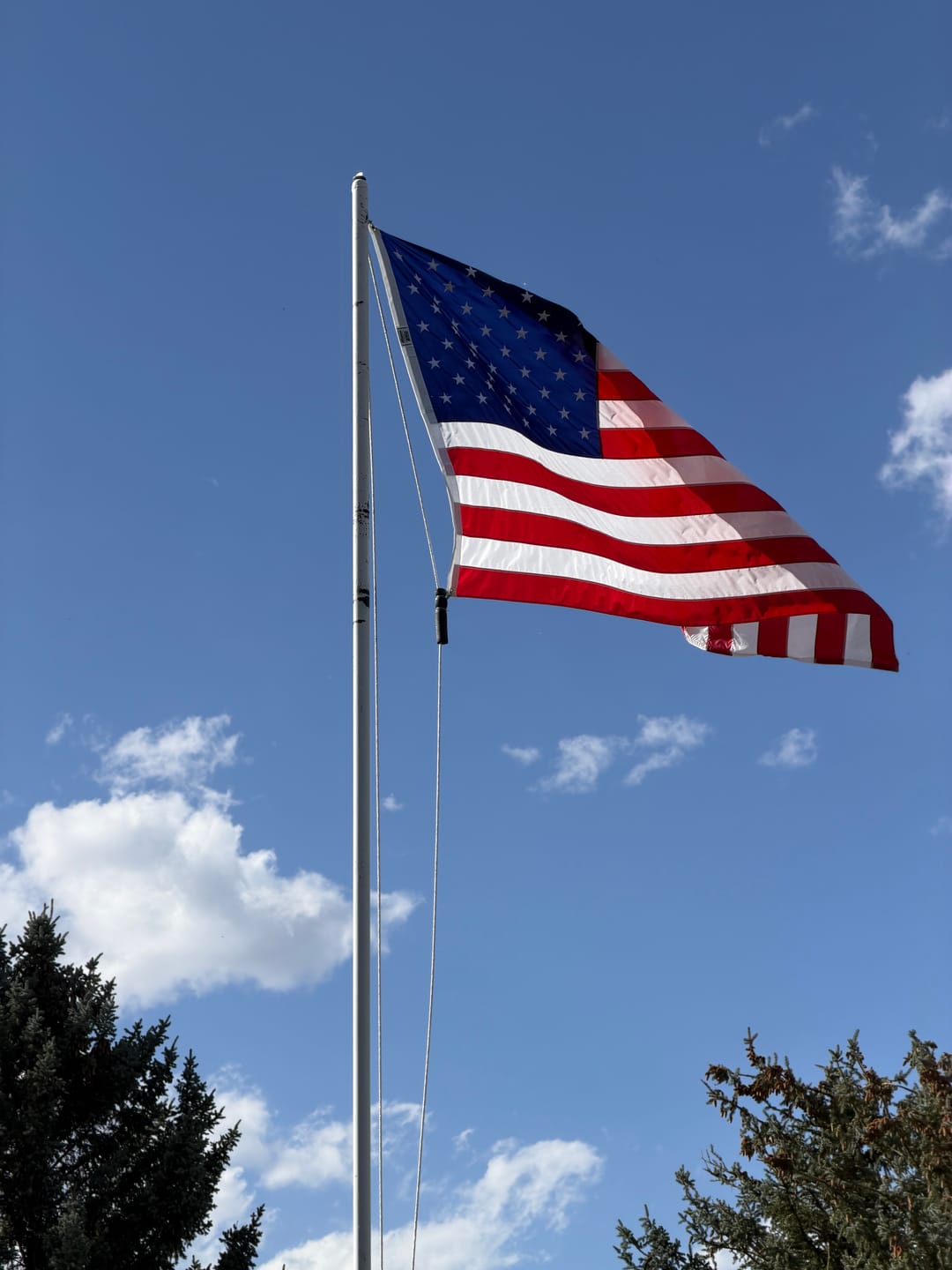 Customer photo review of 5' x 8' American Flag