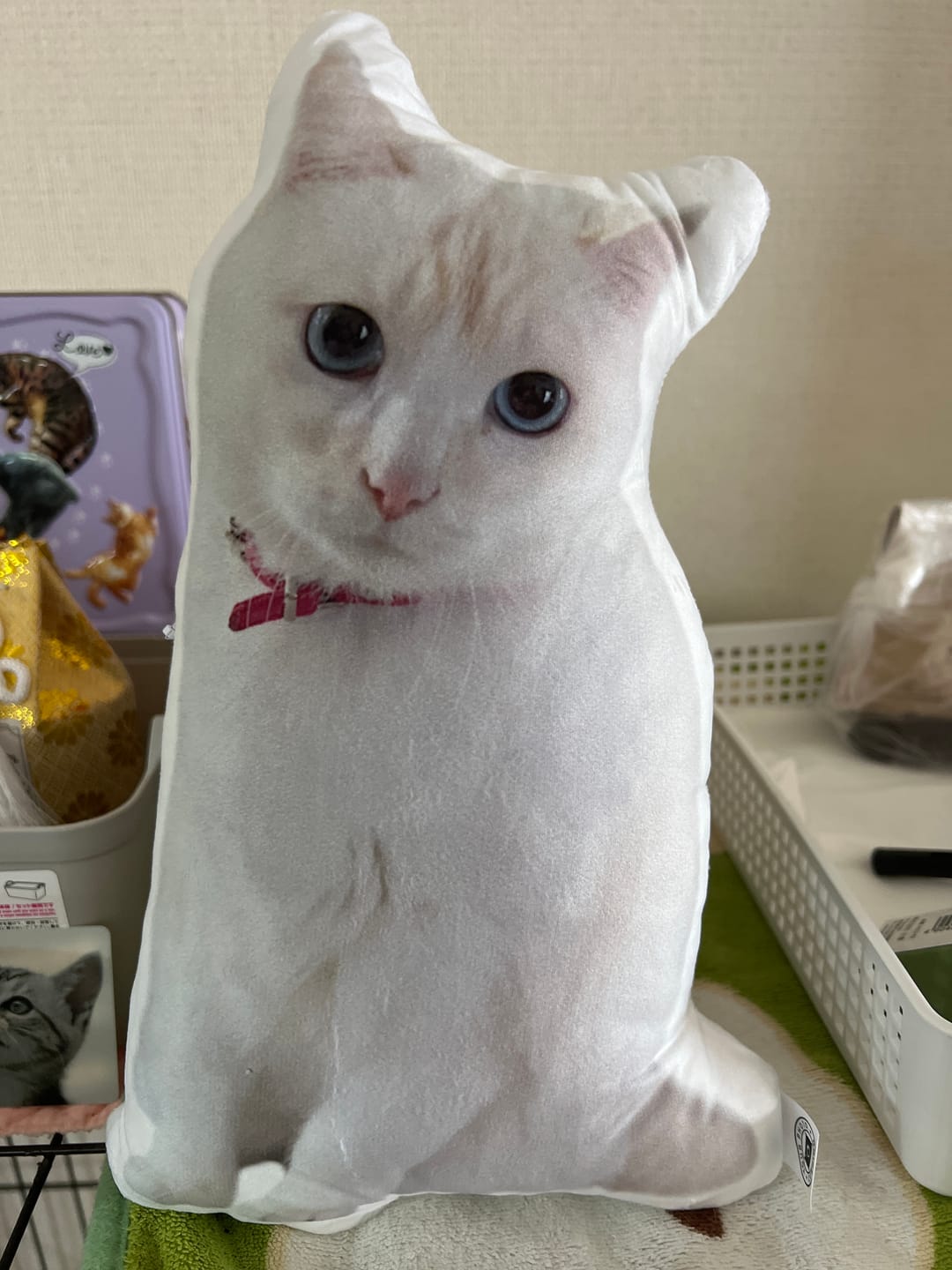 Customer photo review of 世界にひとつだけ♪好きな写真で作るオーダーメイドクッション（20～80cm）
