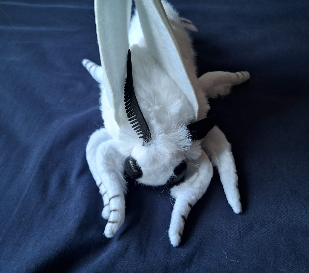 Customer photo review of Fall Webworm Moth Soft Stuffed Plush Toy