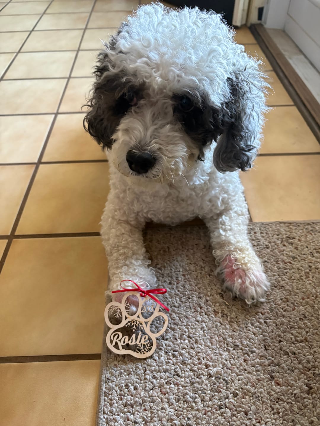 Customer photo review of Personalized Christmas Ornaments