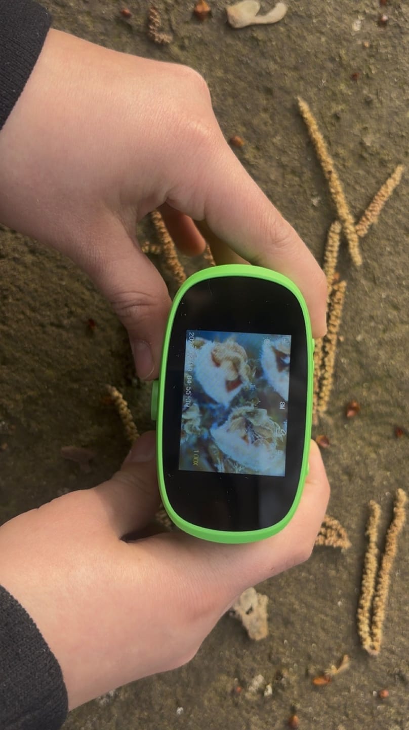 Customer photo review of Rabano Entdecker Mikroskop für Kinder