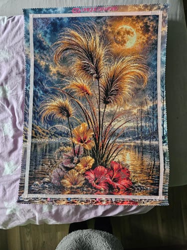 Customer photo review of 5D Diamond Painting – Lunaria Mondschimmer
