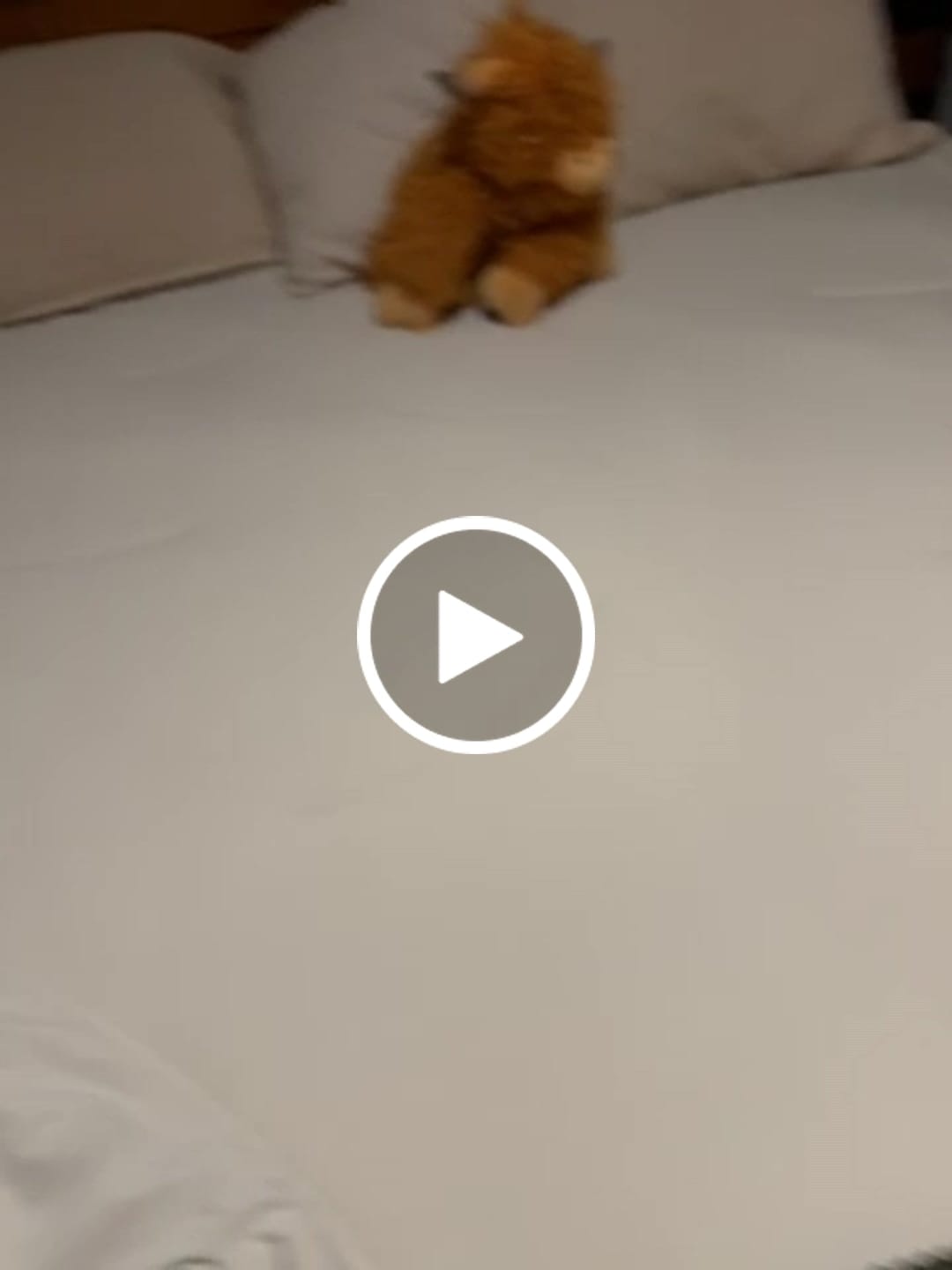 Customer video review of CloudCool™ Cooling Comforter