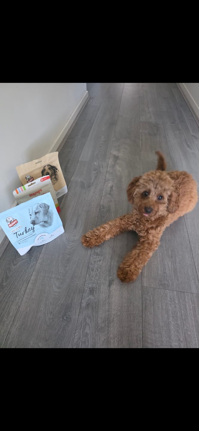 Customer photo review of Bugsy's Air-Dried Turkey