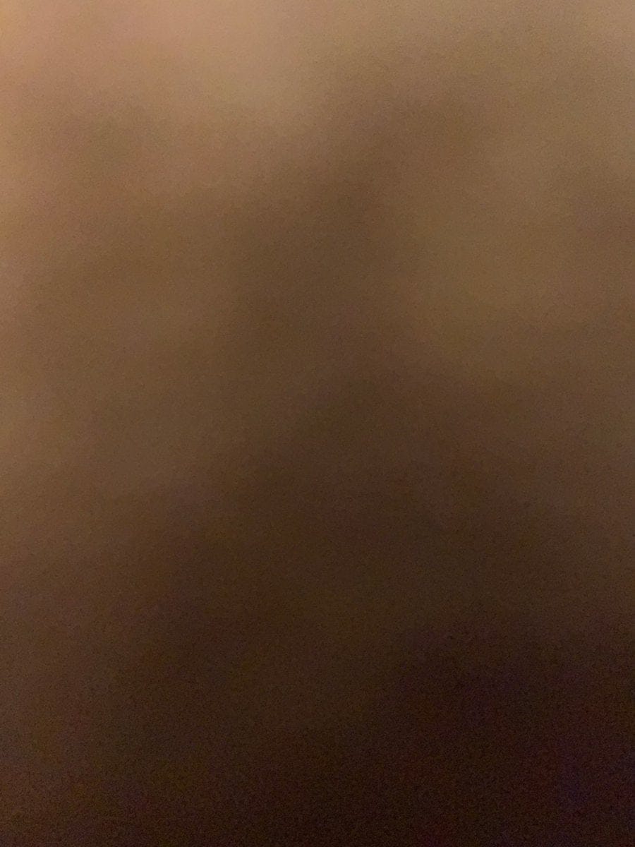 Customer photo review of Gant Anti-Poils Aquelie™ — Un intérieur propre et sans poils en quelques secondes
