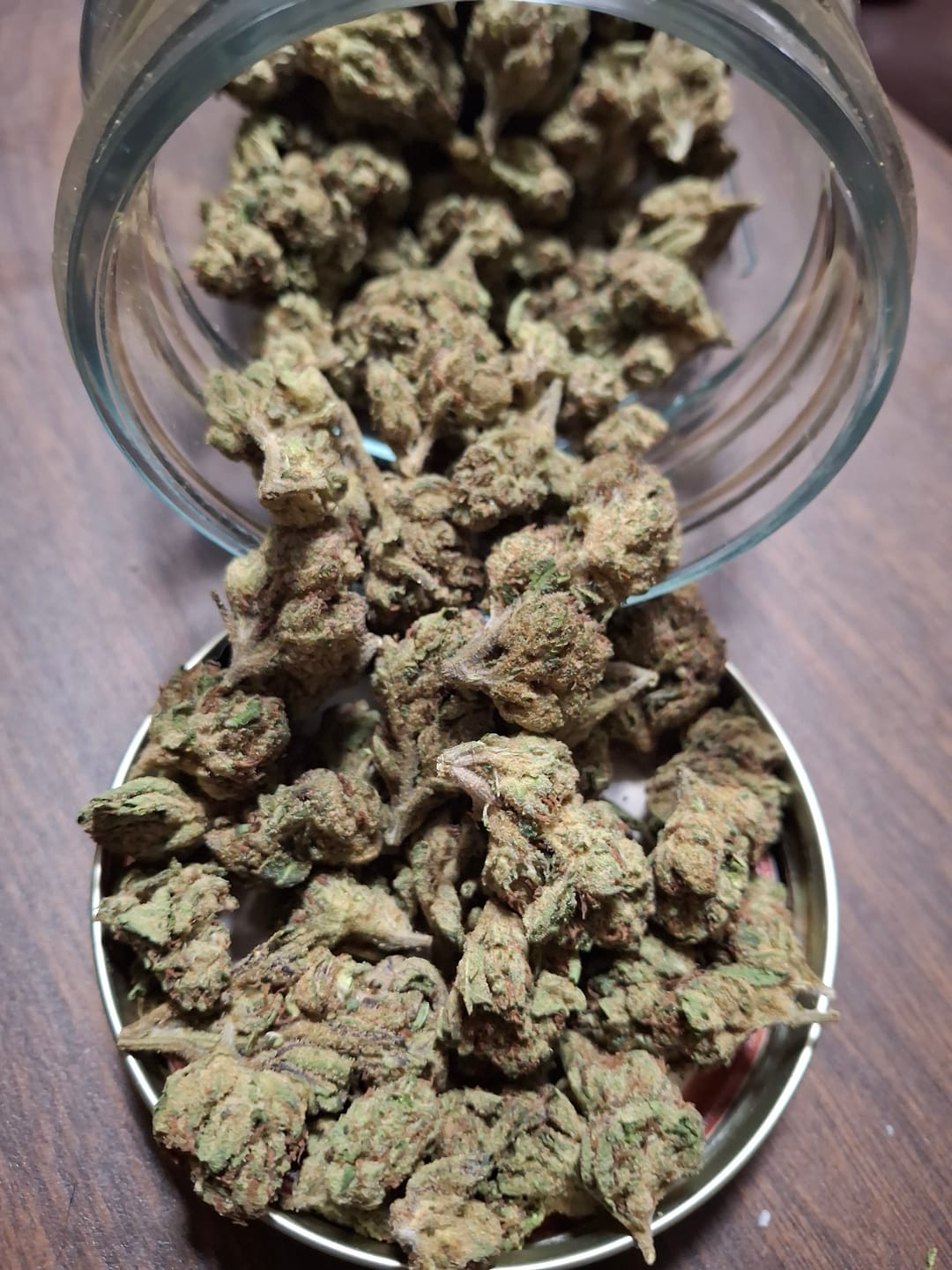 Customer photo review of Bulk Indoor THCA Smalls