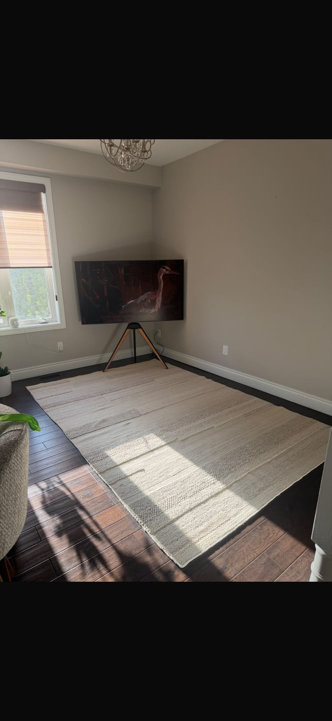 Customer photo review of Picasso FT65 TV Stand