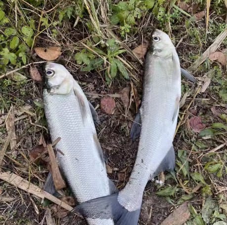 Customer photo review of Calendario de Adviento de Pesca