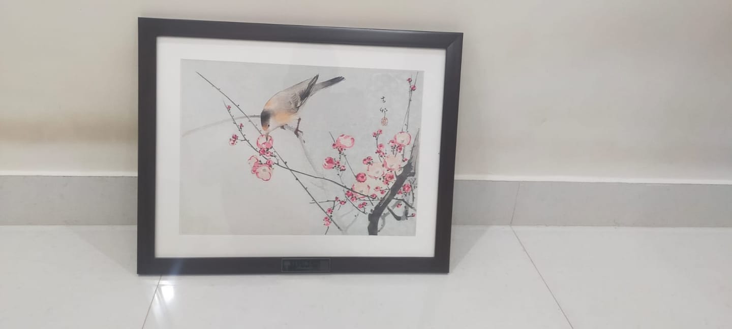 Customer photo review of Blossoms of Tranquility