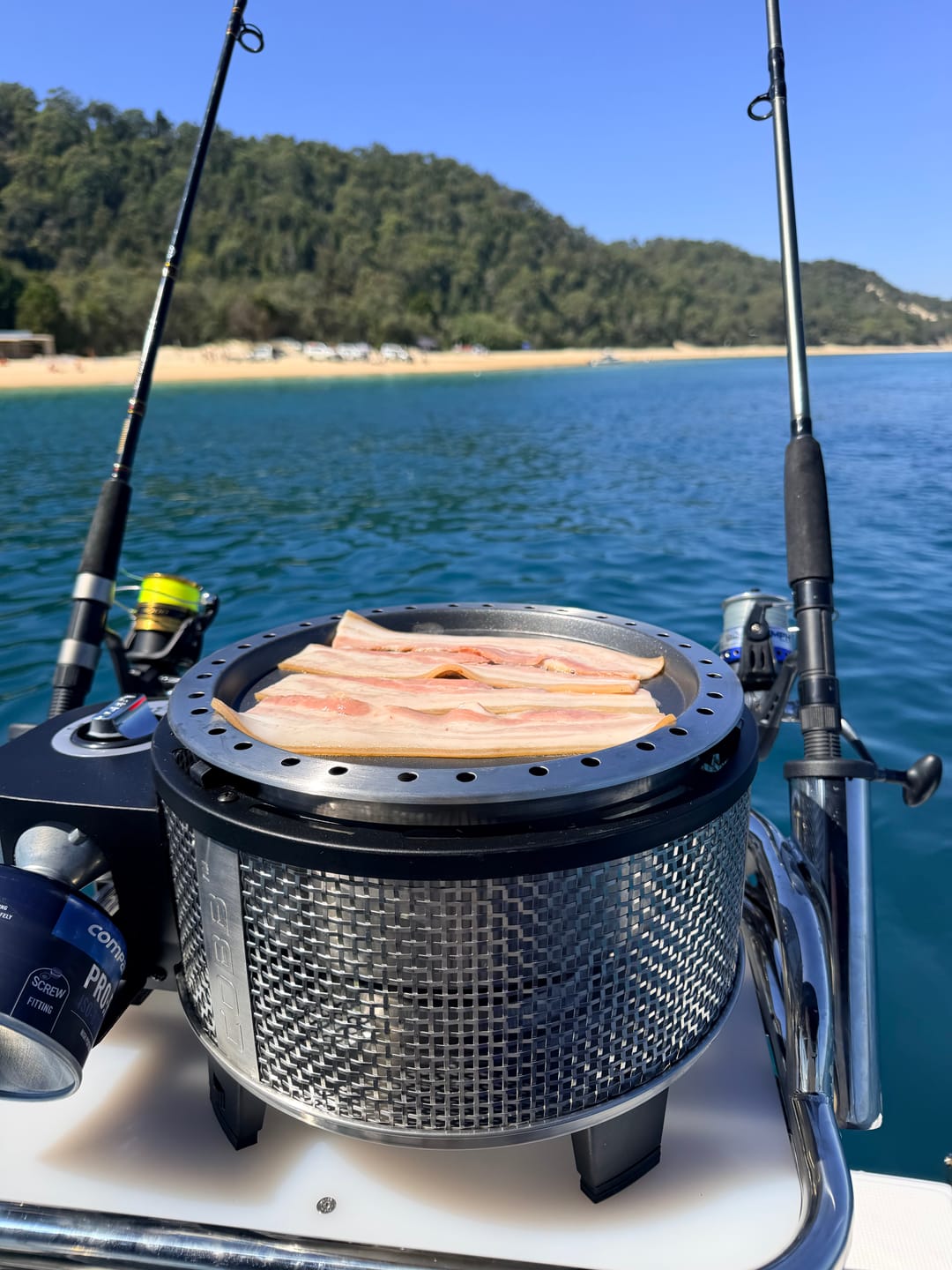Customer photo review of COBB Grill Gas Bundle + FREE Pizza Stone