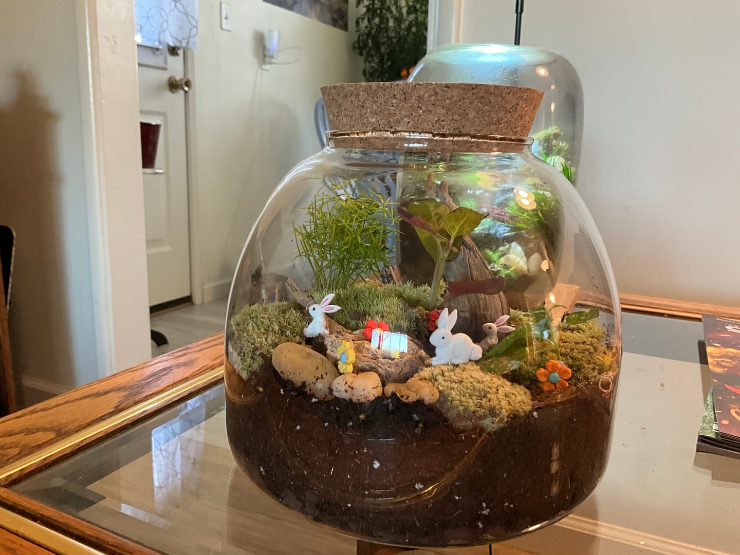 Customer photo review of Light Up Terrarium Kit