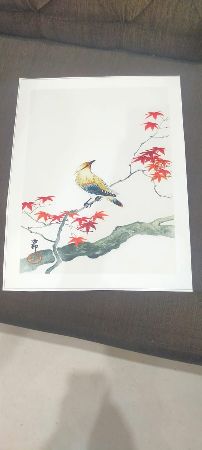 Customer photo review of Autumn Serenade