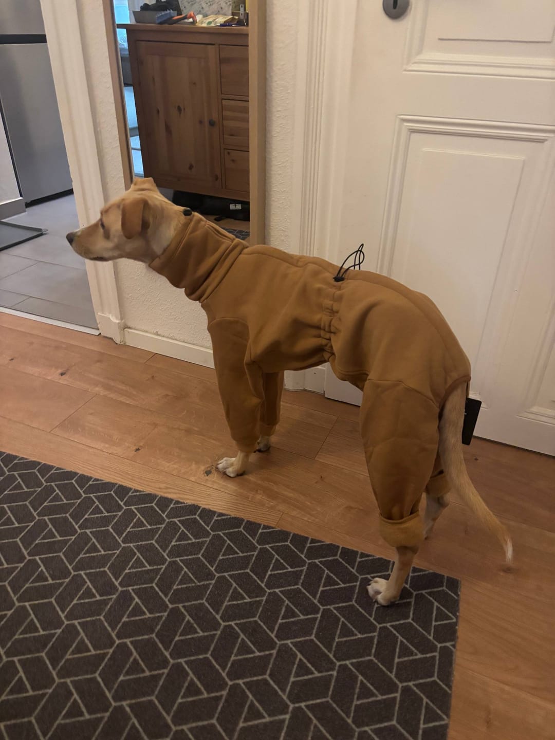 Customer photo review of Nuuk "Camel"