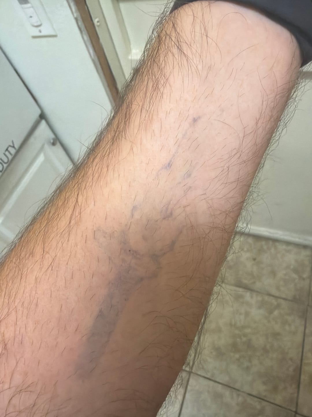 Customer photo review of Filo Ancestral