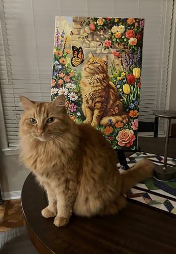 Customer photo review of Design Your Own Paint by Number with AI