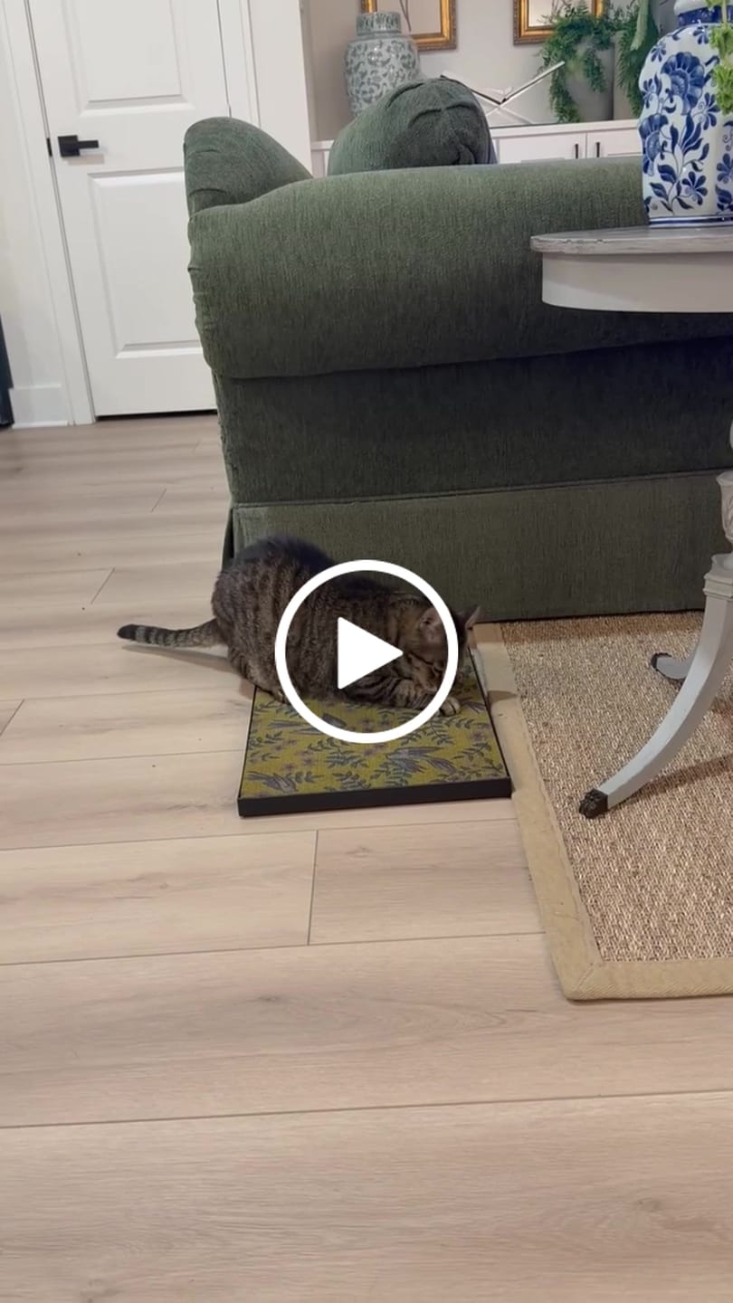 Customer video review of Little Birds - Luxury Cat Scratching Board