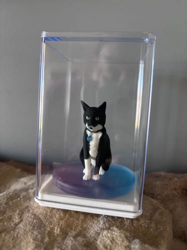 Customer's Personalized Pet 3D Figurine of a black and white cat sitting inside a clear display case.