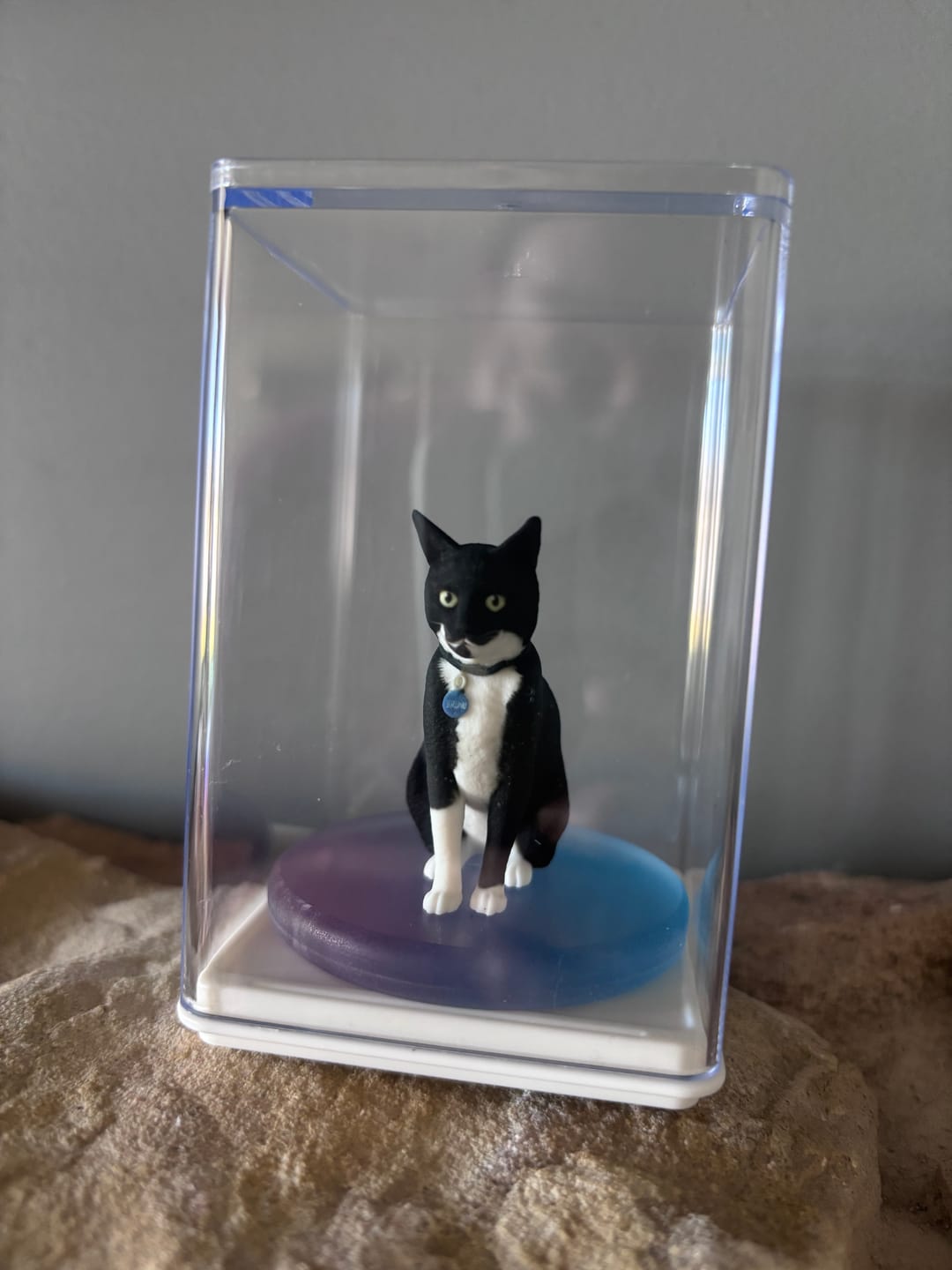 Customer photo review of Personalized Pet 3D Figurine from Photo