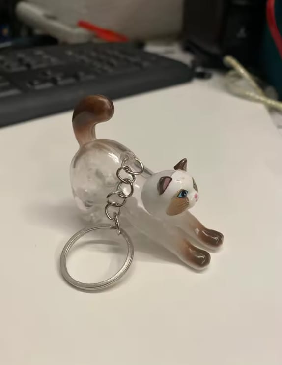 Customer photo review of Llavero GuardaPelito